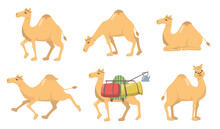 Various Camels With One Hump Flat Icon Set. Group Of Cartoon Desert Caravan Arabian Dromedary With Seat Isolated On White Background Vector Illustration. Animal, Graphic Design And Travel Concept
