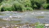 Fototapeta Big Ben - rapid river