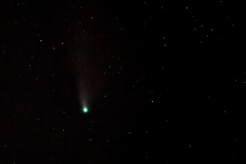 Wall Mural - neowise comet c/2020 f3 (neowise) on starry sky