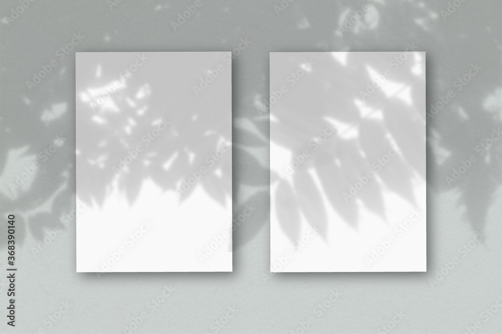 2 vertical sheets of textured white paper on soft gray table background. Mockup overlay with the plant shadows. Natural light casts shadows from an exotic plant. Horizontal orientation - obrazy, fototapety, plakaty 