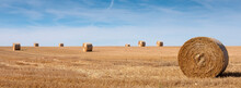 Golden Field With Straw Bales Under Blue Sky In The North Of France