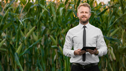 Adult, handsome, stylish, businessman holding a black, new tablet and standing in the middle of green and yellow corn field.