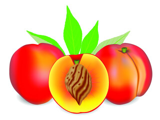 Wall Mural - Two whole ripe peach fruit with half and leaves isolated on white background.