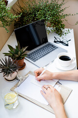 Woman's hands making notes in notepad in cozy summer office with laptop and green home plants