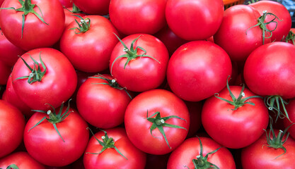 Raw Organic Vine Ripe Red Tomatoes