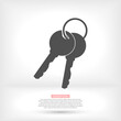 Vector icon key, design illustration for web key. Flat style key.