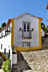 House and yellow 