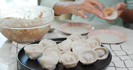 Poster - Woman making meat dumpling at home