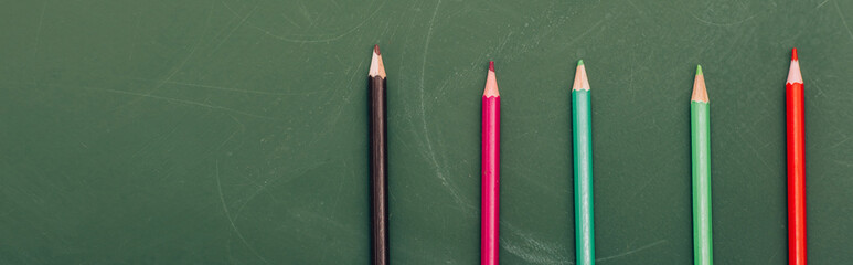 Canvas Print - top view of multicolored pencils on green chalkboard, panoramic shot