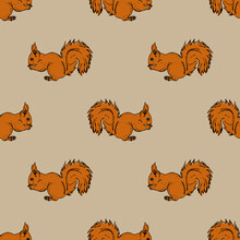 Seamless Animal Pattern With Red Squirrels.