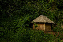 Village Hut In A Forest In Kerala, India. 