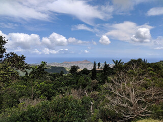 Wall Mural - Mountian view of the city of Honolulu from Diamond head to Manoa