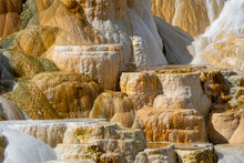Closeup View Of Mammoth Hot Springs In Yellowstone National Park, Wyoming, USA