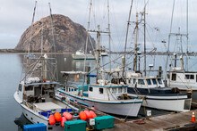 Fishing Boats  Docked At Morro Bay Marina With Morro Rock In The Distance, Morro Bay, California, USA