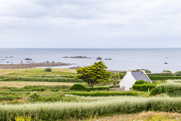 Wall Mural - house on the island of Batz, off Roscoff, in Brittany