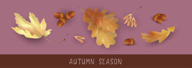 Poster - Autumn Season Banner