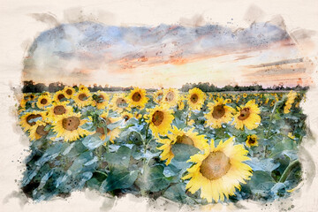 Sticker - Sunflowers field waterpaint image