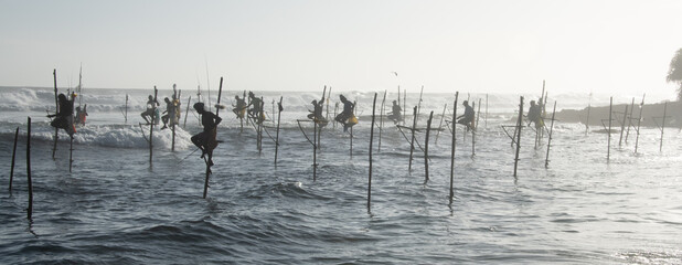 Traditional stilt fishermen angling in the Indian Ocean near Koggala, Sri Lanka