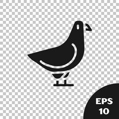 Sticker - Black Dove icon isolated on transparent background. Vector.