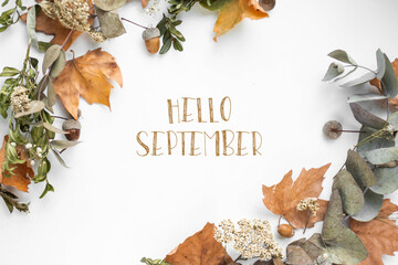 phrase hello september with fall leaves