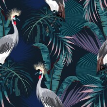 Tropical Night Vintage Wild Birds Pattern, Palm Tree, Palm Leaves And Plant Floral Seamless Border Black Background. Exotic Jungle Wallpaper.