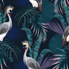 Poster - Tropical night vintage wild birds pattern, palm tree, palm leaves and plant floral seamless border black background. Exotic jungle wallpaper.