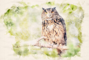 Canvas Print - Eagle owl (bubo bubo) in green forest waterpaint