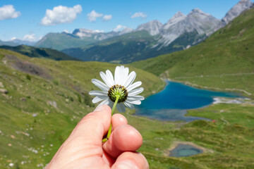 Wall Mural - Arosa switzerland Schwelli lake