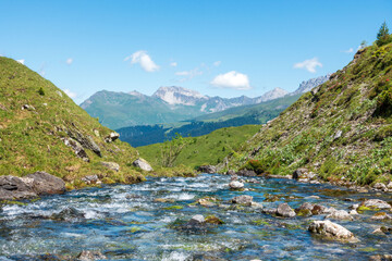 Wall Mural - Arosa plessur river