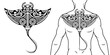 Maori tribal style tattoo pattern with manta ray fit for a back, chest. With example on body. For tattoo studio catalog.