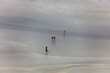 © amelie - Mudflat hiking tour in the bay of Mont Saint-Michel, France
