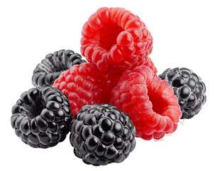 wild berries, raspberry, blackberriy isolated on white background, clipping path, full depth of field