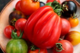 Fototapeta Kuchnia - Rare varieties of multi-colored tomatoes on a plate close-up, selective focus.