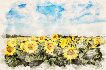 Sticker - Beautiful summer day over sunflower field - waterpaint