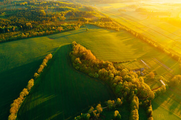 Wall Mural - Green and Yellow agriculture field from above captured with a drone during sunset