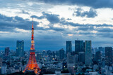 Fototapeta Boho - 東京都港区浜松町から見た夕方の東京の都市景観