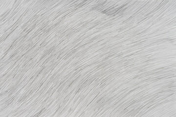 pencil drawing background texture