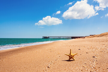 Wall Mural - Starfish on the beach, summer background