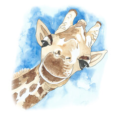 Giraffe muzzle is cute and funny looking. Made by watercolor and liner