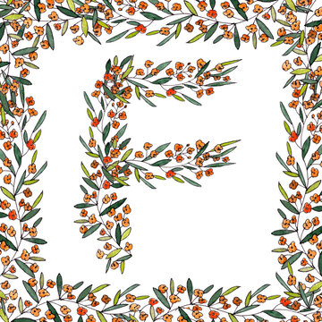 letter F of the english and latin floral alphabet. a colorful graphic on a white background. letter F of sprigs blooming with orange flowers in square frame.