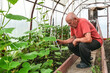 © Aleksandr Bushkov - an elderly man checks the air temperature in a greenhouse for growing cucumbers
