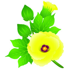 Wall Mural - yellow flower of cotton with buds and leaves on a branch.
