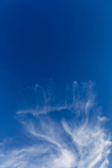 Wall Mural - beautiful blue sky background, white clouds covering thinly spread the sky
