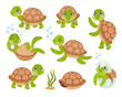 Green baby turtle set. Cute funny tortoise cartoon character sleeping, dancing, swimming, hiding in shell, hatching. Vector illustrations for nature, animals, wildlife, aquatic reptilians concept