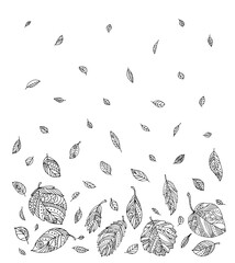 Folling leaves pattern. Elm, birch, linden. Hand drawn artwork. Zentangle, doodle, tattoo. Woodcut style. Coloring book page for adult. Black and white. Bohemian ethnic concept