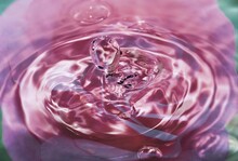 Pink Rose Water Drop