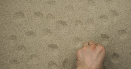 Wall Mural - Imprints of a seashell on the sand. In real time. A male hand makes shell imprints on the sand.