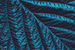blue green toned leaf close up for botanical background, trendy abstract floral texture
