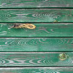 The old green wood texture with natural patterns