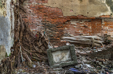 Wall Mural - Bangkok,Thailand - Jan 25, 2020 : The pattern of tree roots growing on the old red brick wall of abandoned ancient building. Archaeological area. No focus, specifically.